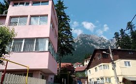 Vila Danlavi Busteni